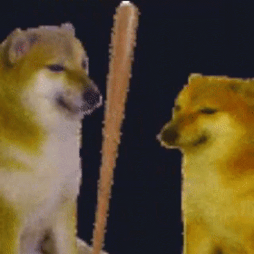 A Dog Is Holding A Bat In Front Of A Bonk Sign . GIF