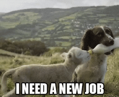 A Dog Is Holding A Bottle In Its Mouth Next To A Sheep And The Words " I Need A New Job " GIF