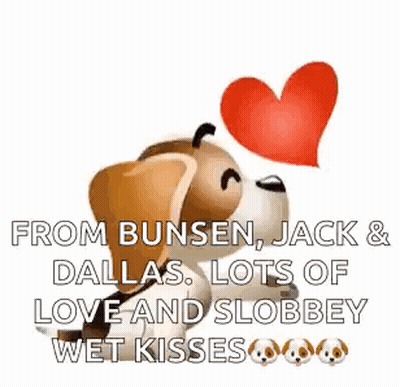 A Dog Is Holding A Heart In Its Mouth And Says `` From Bunsen , Jack & Dallas GIF