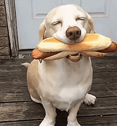 A Dog Is Holding A Hot Dog In Its Mouth With Its Eyes Closed GIF