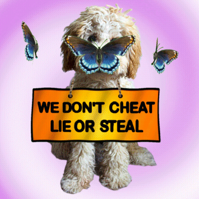 A Dog Is Holding A Sign That Says We Don T Cheat Lie Or Steal GIF