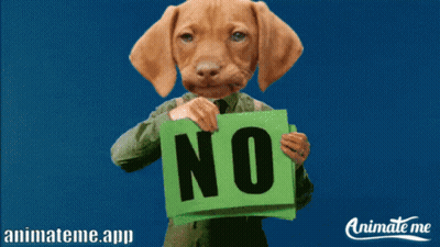 A Dog Is Holding Up A Sign That Says No GIF