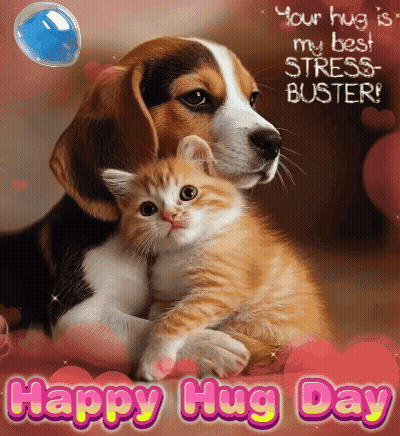 A Dog Is Hugging A Kitten With The Words " Your Hug Is My Best Stress Buster " On The Bottom GIF