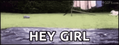 A Dog Is Jumping Into A Pool Of Water With The Words `` Hey Girl '' Written Above It . GIF
