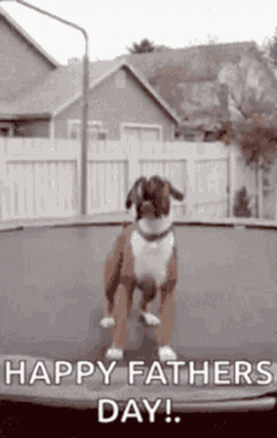 A Dog Is Jumping On A Trampoline With The Words `` Happy Fathers Day '' Written On It . GIF