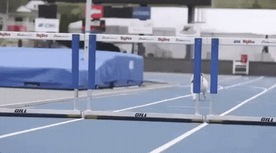 A Dog Is Jumping Over Hurdles On A Track That Says Gill On It GIF