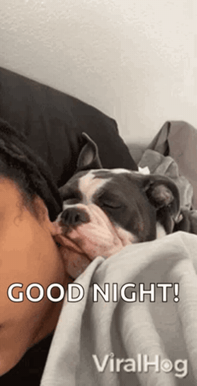 A Dog Is Kissing A Woman On The Cheek While Sleeping On A Bed . GIF