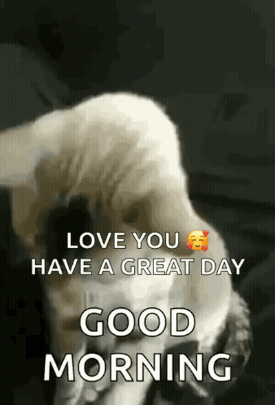 A Dog Is Laying Down On A Bed With The Words `` Love You Have A Great Day Good Morning '' . GIF