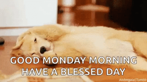 A Dog Is Laying Down On The Floor With The Words `` Good Monday Morning Have A Blessed Day '' . GIF