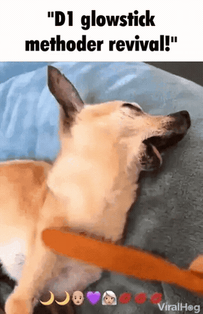 A Dog Is Laying Down With Its Mouth Open And A Glowstick Sticking Out Of Its Mouth GIF