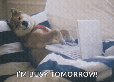 A Dog Is Laying On A Bed Using A Laptop Computer And Says I 'M Busy Tomorrow GIF