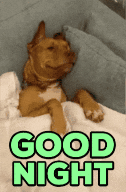 A Dog Is Laying On A Bed With The Words " Good Night " Written Above It GIF