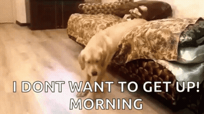 A Dog Is Laying On A Bed With The Words `` I Don T Want To Get Up Morning '' Written On It . GIF