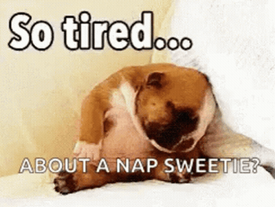 A Dog Is Laying On A Bed With The Words `` So Tired ... About A Nap Sweetie '' Written On It . GIF