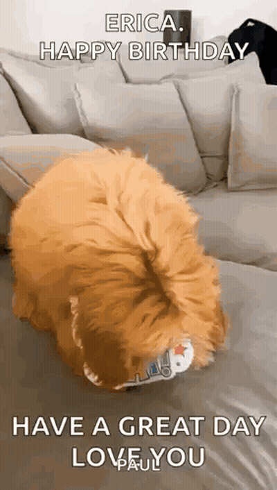 A Dog Is Laying On A Couch With The Words `` Erica Happy Birthday Have A Great Day Love You '' GIF