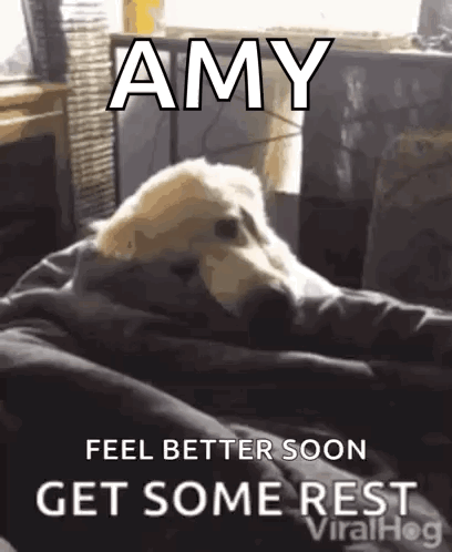 A Dog Is Laying On A Couch With The Words `` Feel Better Soon Get Some Rest '' . GIF