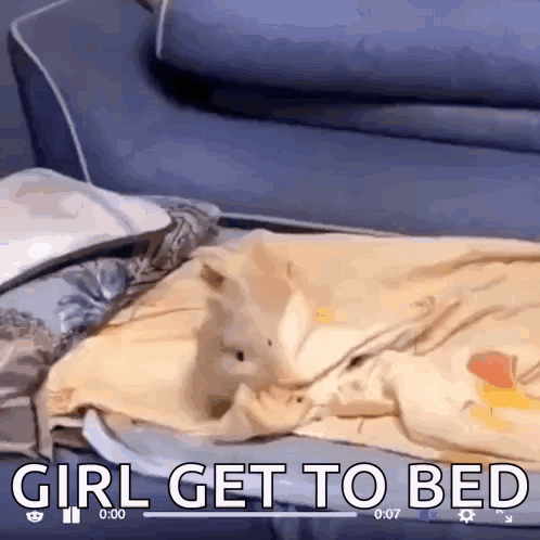 A Dog Is Laying On A Couch With The Words Girl Get To Bed Written On The Bottom GIF