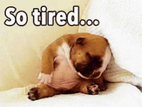 A Dog Is Laying On A Couch With The Words So Tired Written Above It GIF