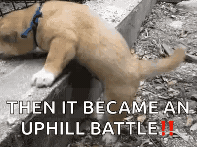A Dog Is Laying On A Sidewalk With A Caption That Says Then It Became An Uphill Battle ! GIF