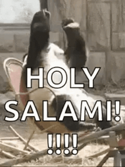 A Dog Is Laying On Its Back In A Chair With Its Paws In The Air . GIF