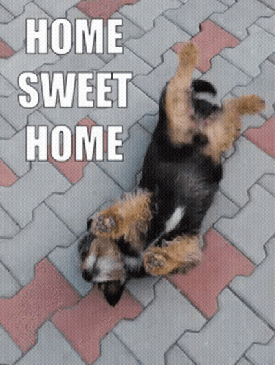 A Dog Is Laying On Its Back On A Brick Sidewalk With The Words Home Sweet Home Above It GIF