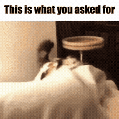 A Dog Is Laying On Top Of A Bed With The Words `` This Is What You Asked For '' Written Above It . GIF