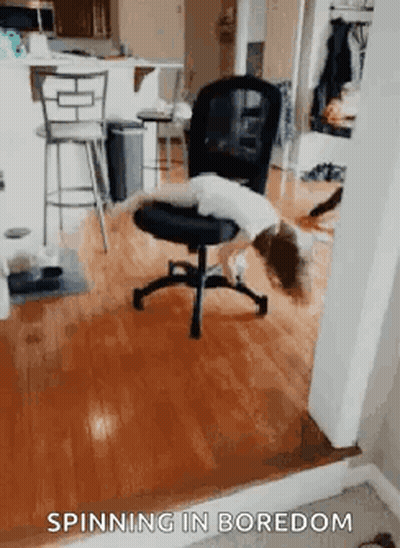 A Dog Is Laying On Top Of An Office Chair In A Living Room With The Caption Spinning In Boredom . GIF