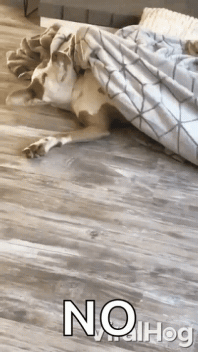 A Dog Is Laying Under A Blanket On A Wooden Floor In A Living Room . GIF