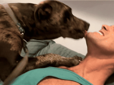A Dog Is Licking A Man 'S Neck While Laying On A Bed GIF