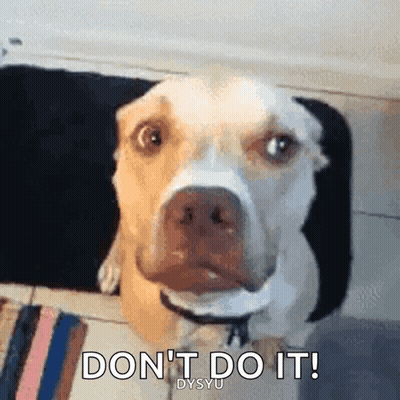 A Dog Is Looking At The Camera With The Words " Do N't Do It " Behind It GIF