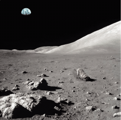 A Dog Is On The Moon With The Earth In The Background GIF