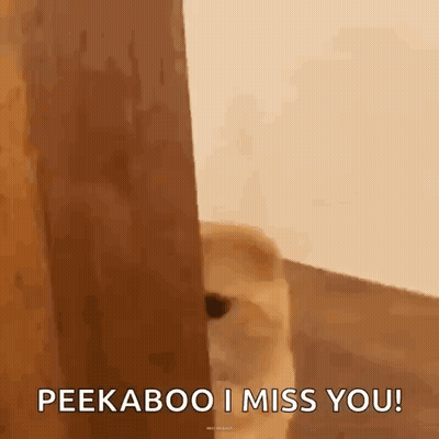A Dog Is Peeking Out From Behind A Door And Says `` Peekaboo I Miss You ! '' GIF