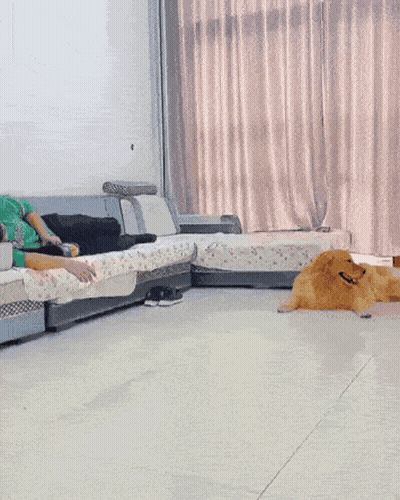 A Dog Is Playing With A Stuffed Animal In Front Of A Green Bucket GIF