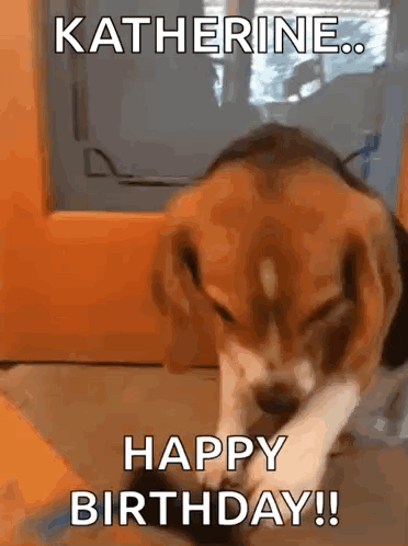 A Dog Is Playing With A Toy And Saying Happy Birthday . GIF