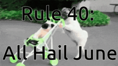 A Dog Is Pushing A Green Stroller With The Words Rule 40 All Hail June GIF