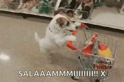 A Dog Is Pushing A Shopping Cart With A Toy In It . GIF