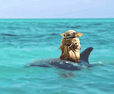 A Dog Is Riding A Dolphin In The Ocean GIF
