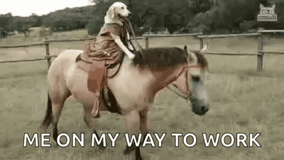 A Dog Is Riding A Horse In A Field With The Caption `` Me On My Way To Work '' . GIF