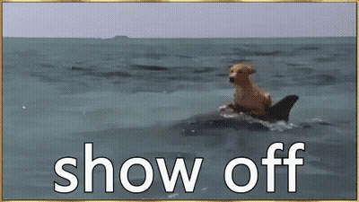 A Dog Is Riding On The Back Of A Dolphin . GIF