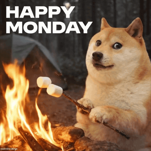 A Dog Is Roasting Marshmallows In Front Of A Fire With The Words Happy Monday Above It GIF