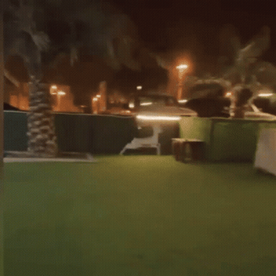 A Dog Is Running On A Lush Green Lawn In Front Of A Tent At Night . GIF
