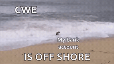 A Dog Is Running Out Of The Ocean On A Beach GIF
