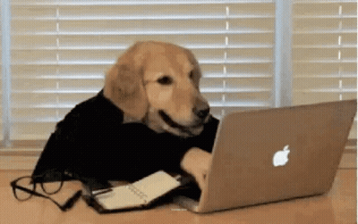 A Dog Is Sitting At A Desk In Front Of An Apple Laptop . GIF