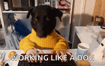 A Dog Is Sitting At A Desk Typing On A Keyboard . GIF
