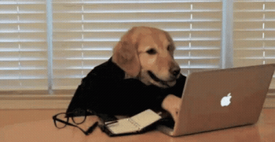 A Dog Is Sitting At A Desk With An Apple Laptop . GIF
