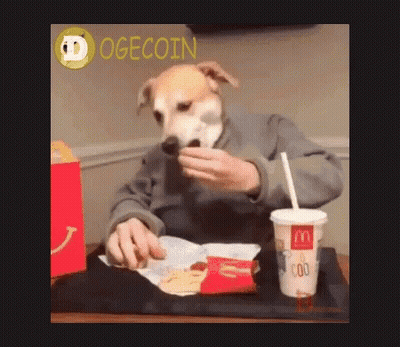 A Dog Is Sitting At A Table With A Mcdonald 'S Cup GIF