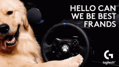 A Dog Is Sitting In A Car With A Steering Wheel And The Words " Hello Can We Be Best Frands " GIF