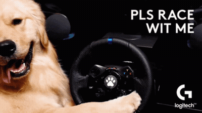 A Dog Is Sitting In A Car With A Steering Wheel And The Words Pls Race Wit Me GIF