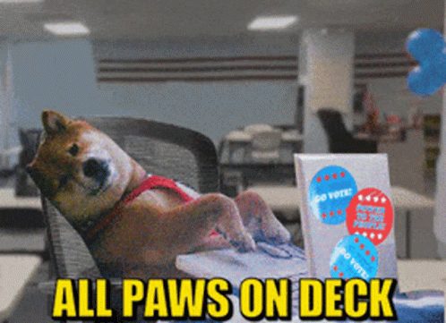 A Dog Is Sitting In A Chair With The Words All Paws On Deck Written Above It GIF