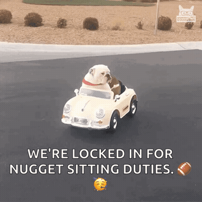 A Dog Is Sitting In A Toy Car With The Words " We 'Re Locked In For Nugget Sitting Duties " GIF